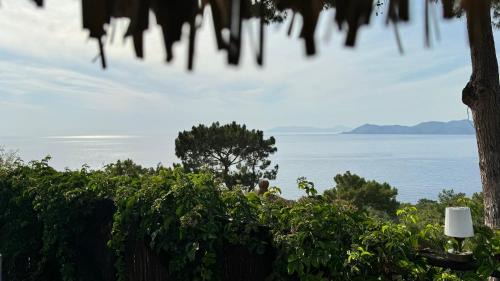 Faralya Bed & Breakfast | Heaven Resort Faralya