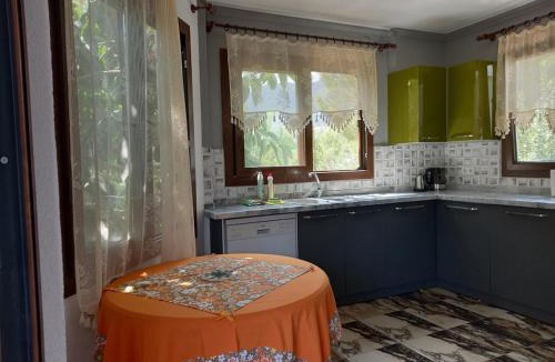 Mesudiye Villa | VillaKoza With Sea View