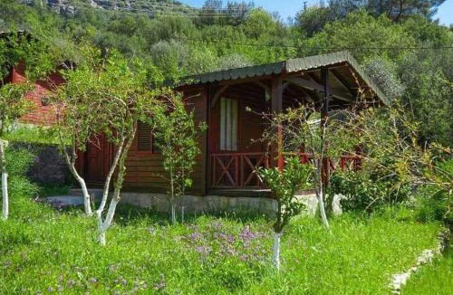 Olympos Hotel | arzum bungalovs