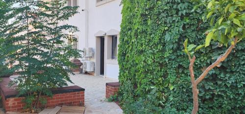 Kalkan Apartment | Azure Haven - A Seaside Retreat Surrounded by Nature