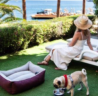 Gumbet Resort | Caresse, a Luxury Collection Resort & Spa, Bodrum