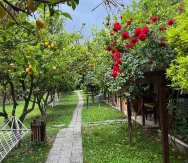 Cirali Resort | Myland Nature
