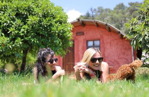 Olympos House | Simurg Evleri Olympos