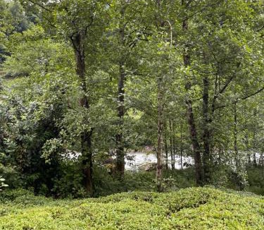 Ayder Hotel | Tanura Bungalows