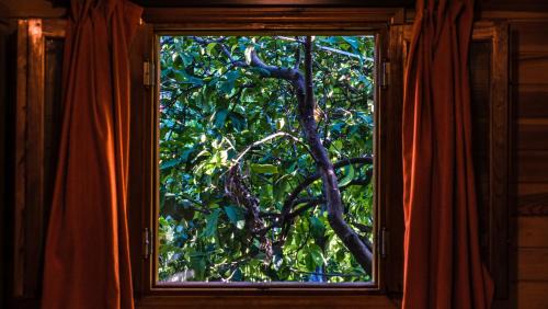 Cirali Bed & Breakfast | Lemon Garden Lodge