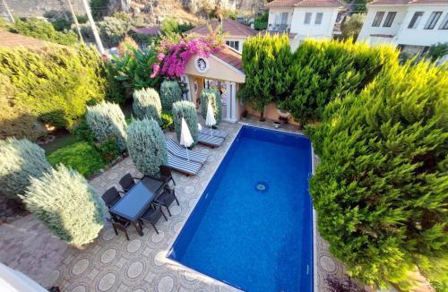 Dalyan City Center Villa | Dalyan Palace