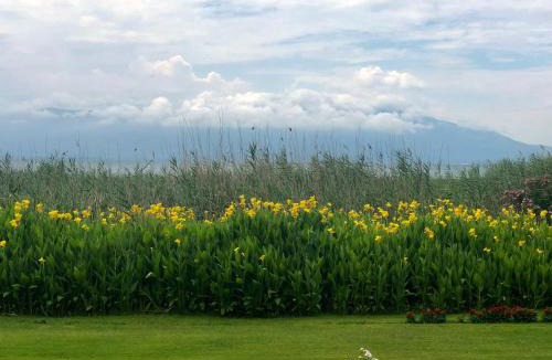 Orhangazi Hotel | The Lake House