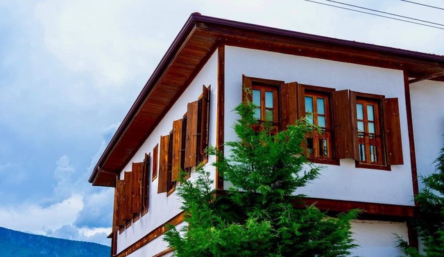 Birol Sengun Bag Evi