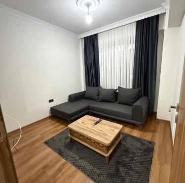 suite palace
