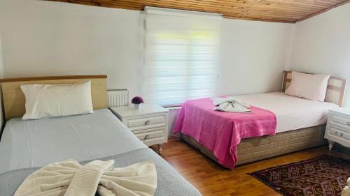 Sapanca Eren Villa-Isıtma Havuzlu