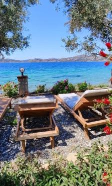 Mavi Akvaryum Pension
