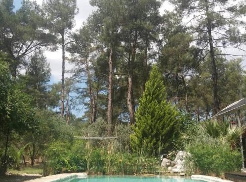 Yeşilyurt 5 rooms