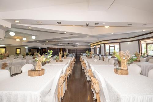 Ancere Thermal Hotel & Spa in Havza